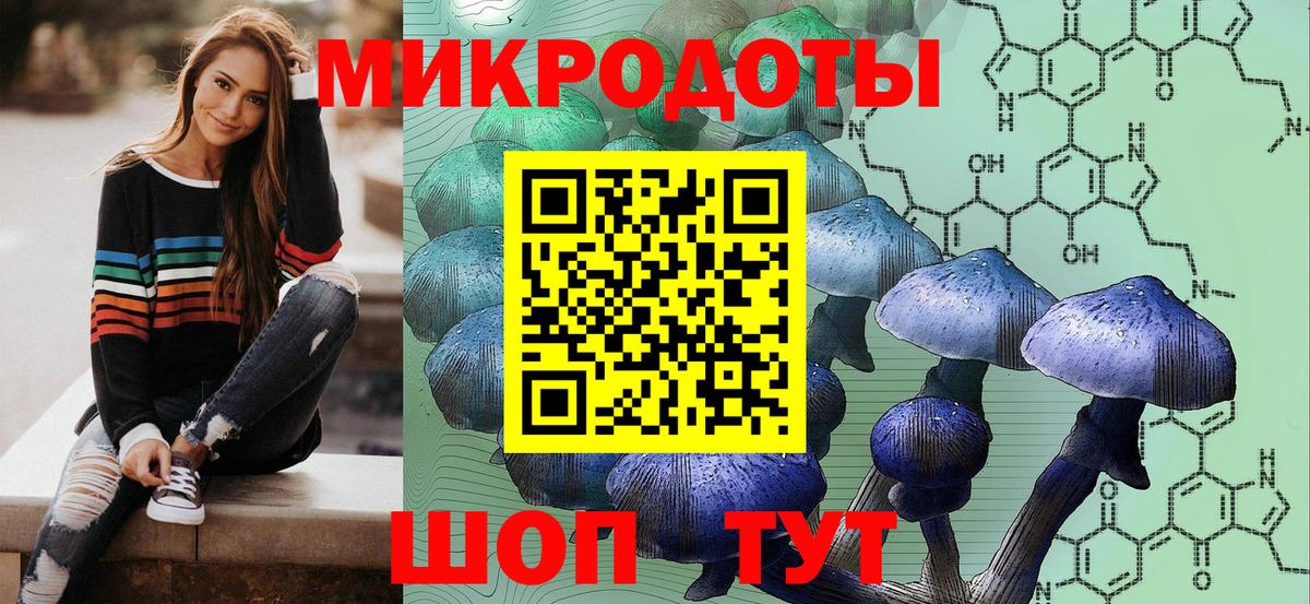 Псилоцибиновые грибы Magic Shrooms  Вход с VPN  Новодвинск 
